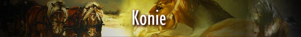 Konie